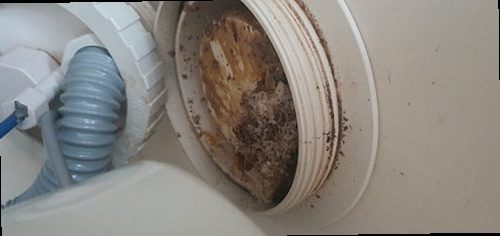파주 진동면 하수구막힘 작업 후 배수 상태와 주변을 최종 점검하는 모습